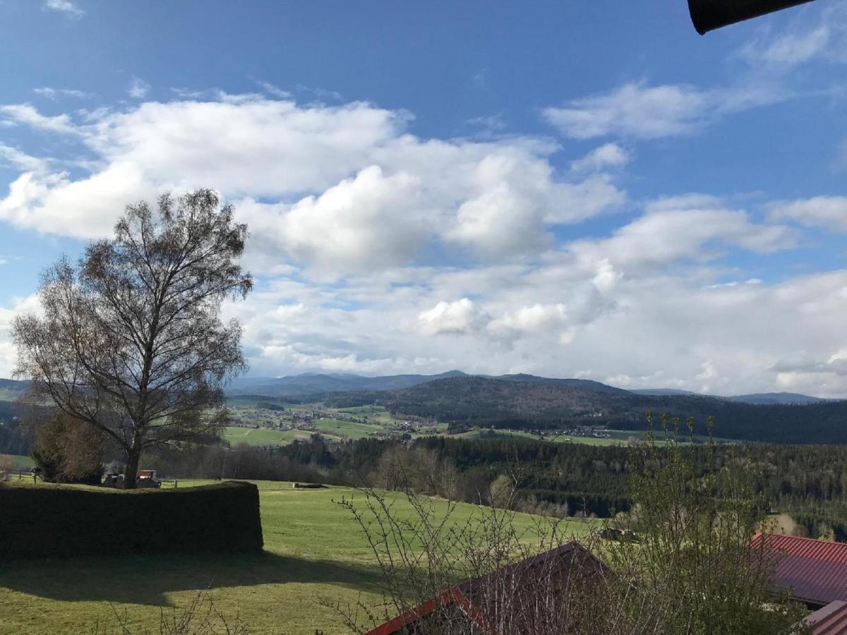 Ferienwohnungen Lusenblick Freyung Luaran gambar